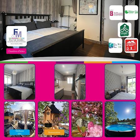 Chez Flo et Marc Apartman Chouzy-sur-Cisse Kültér fotó