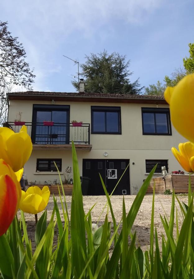 Chez Flo et Marc Apartman Chouzy-sur-Cisse Kültér fotó